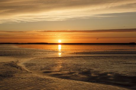 Wadden Sea World Heritage - Wadden.nl