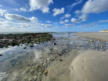 Wadden Sea World Heritage - Wadden.nl