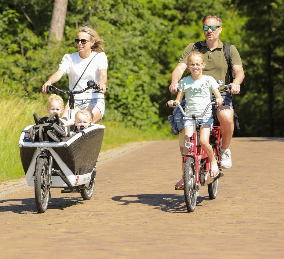 <p>Cycling, bike rental and cycling routes on Wadden Island Vlieland - Wadden.nl</p>