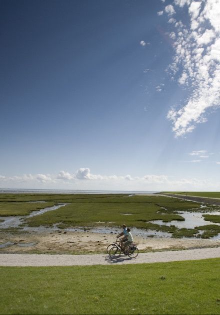 Explore the mudflats on wadden island Terschelling