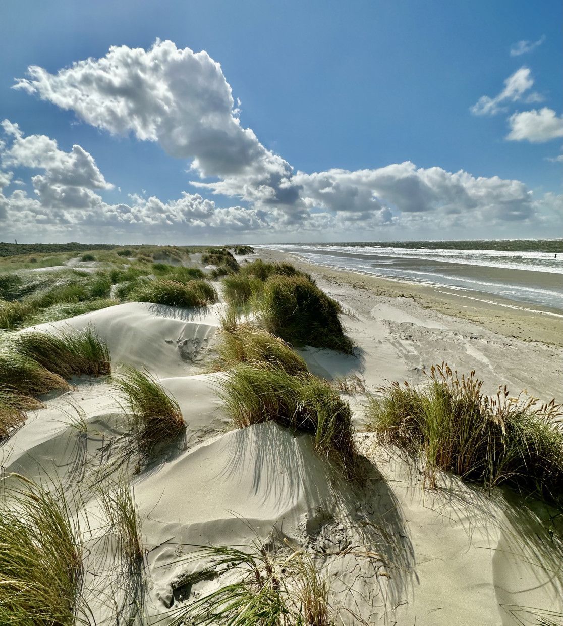 National Park Schiermonnikoog - VVV Schiermonnikoog - Wadden.nl