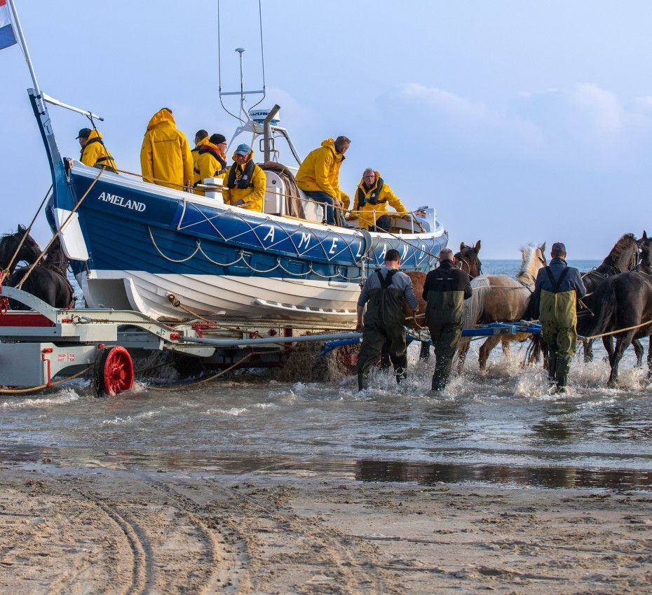 <p>Demonstration horse rescue boat Ameland - Wadden.nl</p>