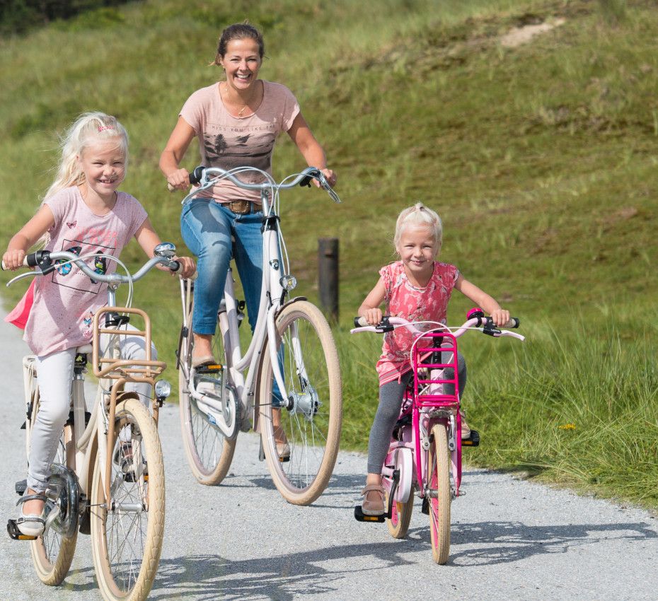 <p>Bicycles, bicycle rental and cycle routes on Wadden Island Ameland - Wadden.nl</p>