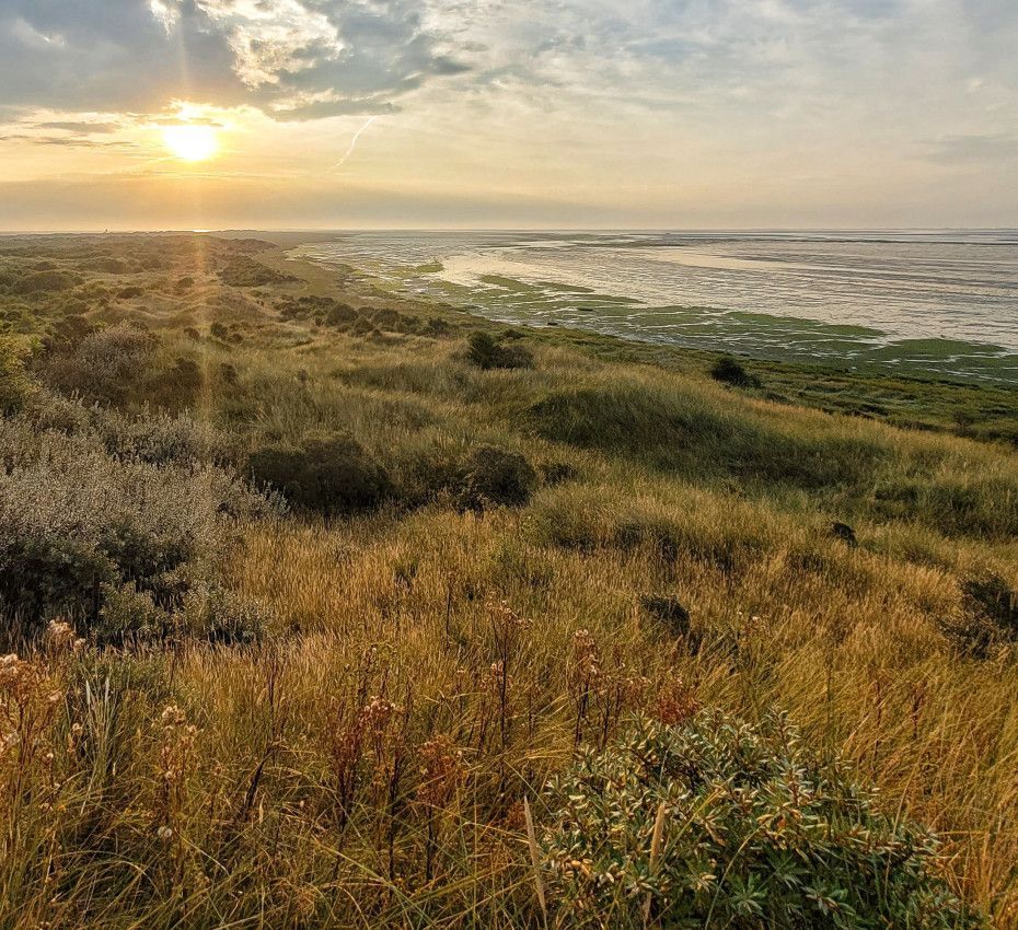 <p>Nature reserves on Wadden Island Texel, Vlieland, Terschelling, Ameland and Schiermonnikoog - Wadden.nl</p>