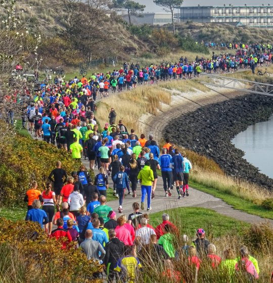 Activities and events on the Wadden Islands of Texel, Vlieland, Terschelling, Ameland and Schiermonnikoog