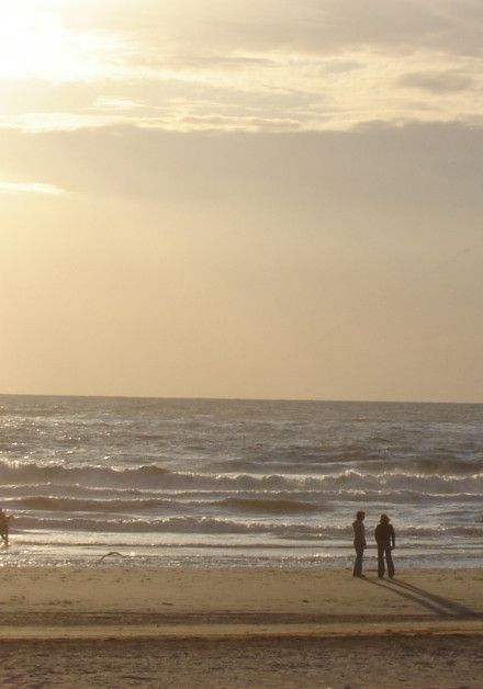 Webcams of Texel - Wadden.nl