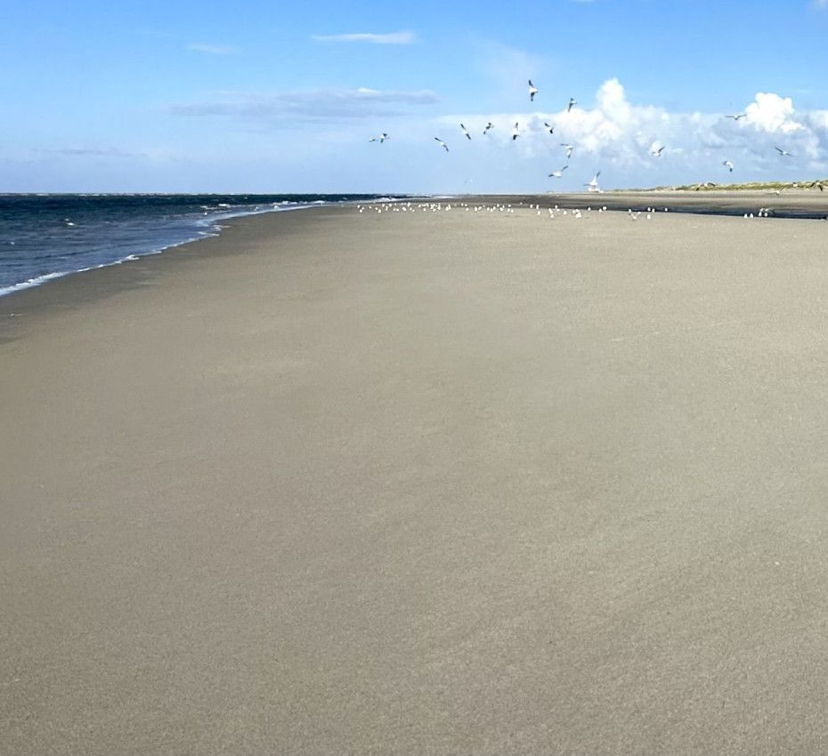 <p>Nature reserves on Wadden Island Texel, Vlieland, Terschelling, Ameland and Schiermonnikoog - Wadden.nl</p>