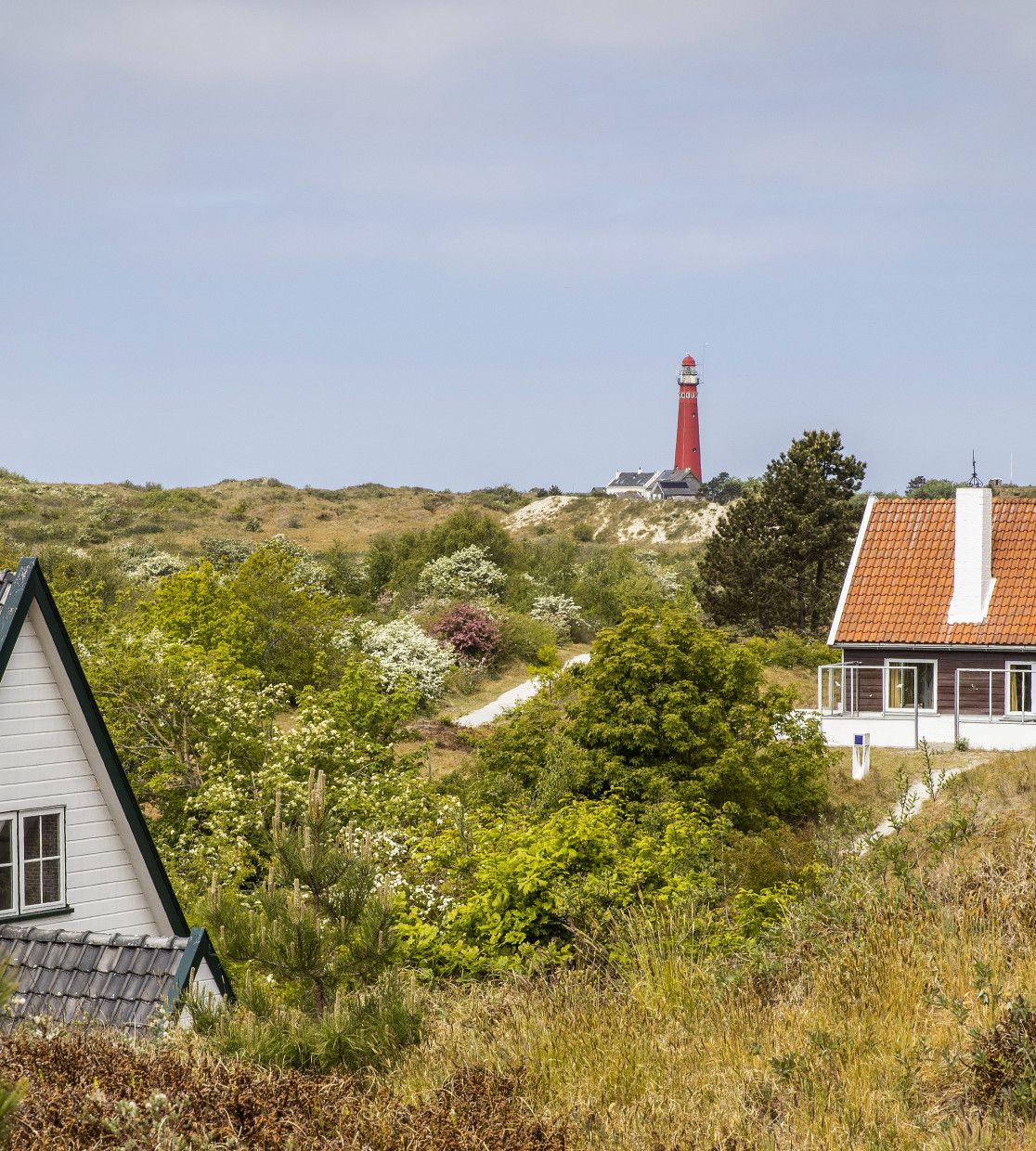 Staying on Schiermonnikoog - VVV Schiermonnikoog - Wadden.nl