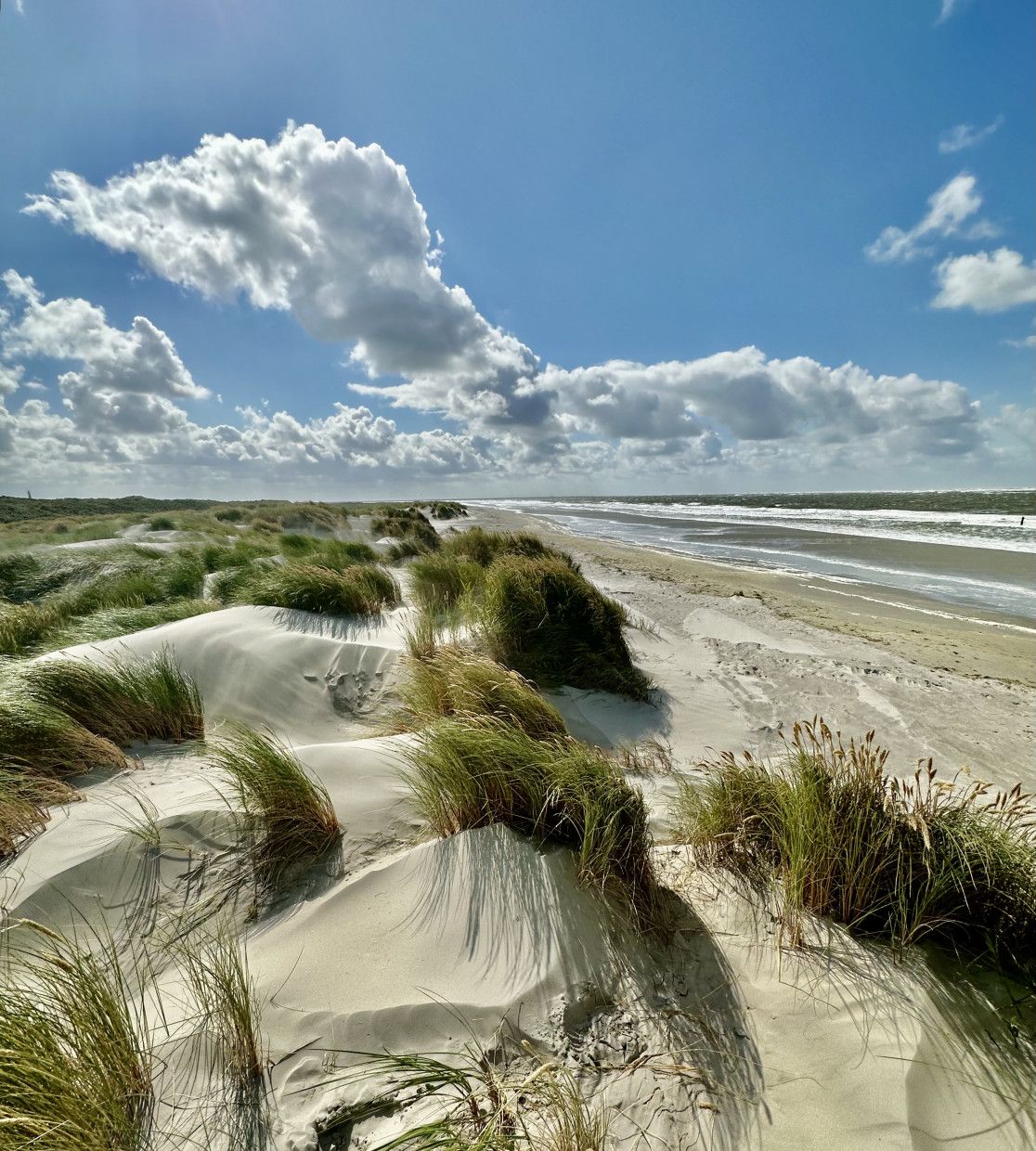 Discover the national park - VVV Schiermonnikoog - wadden.nl