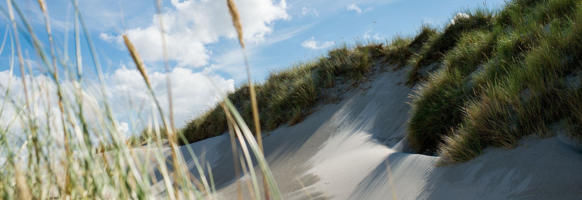 Vakantie op de Waddeneilanden - Wadden.nl