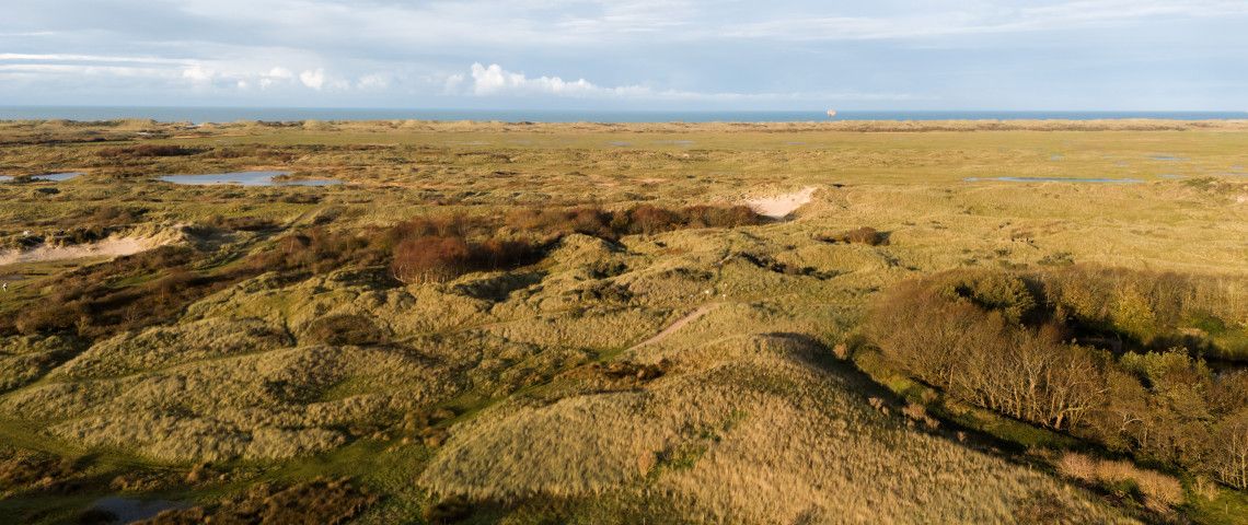 Experience autumn on the Wadden Islands of Texel, Vlieland, Terschelling, Ameland and Schiermonnikoog!