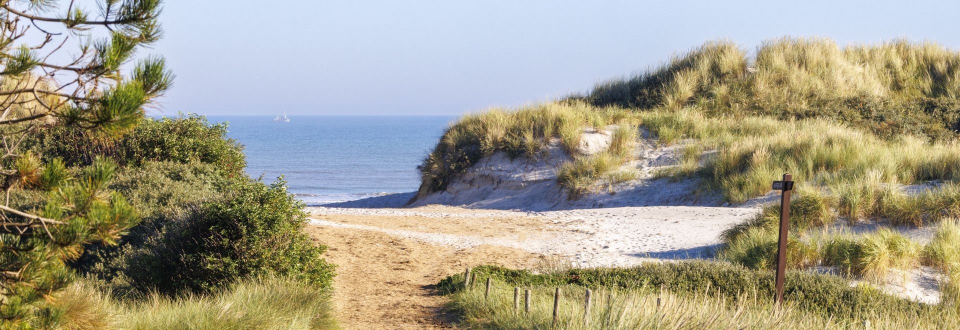 Unique on Ameland - VVV Ameland - Wadden.nl