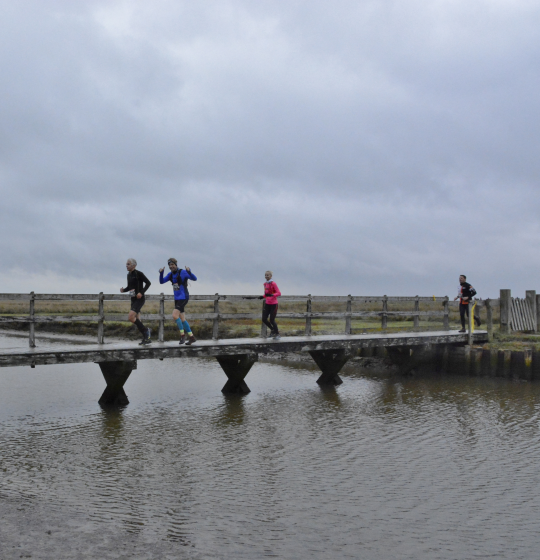 Activities and events on the Wadden Islands of Texel, Vlieland, Terschelling, Ameland and Schiermonnikoog