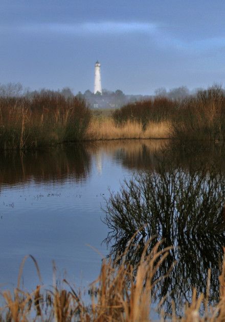 View all autumn activities on the Wadden island Schiermonnikoog