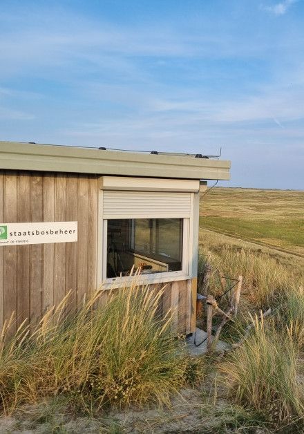 Visit the bird hide on the Wadden Island of Terschelling