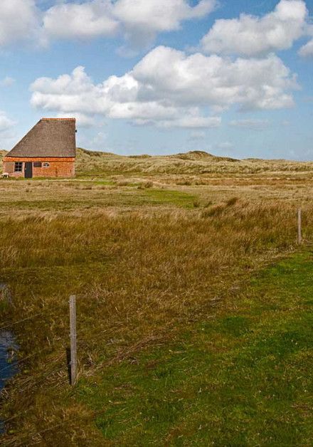 Webcams of Texel - Wadden.nl