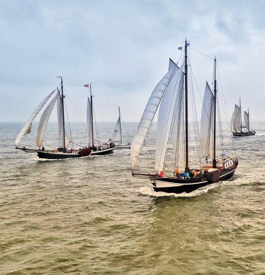 Sailing race on Wadden island Terschelling