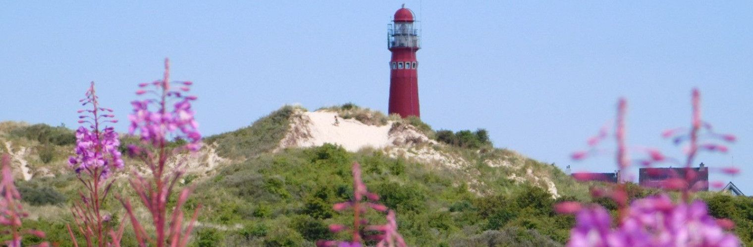 Bird watching as an activity on the wadden islands