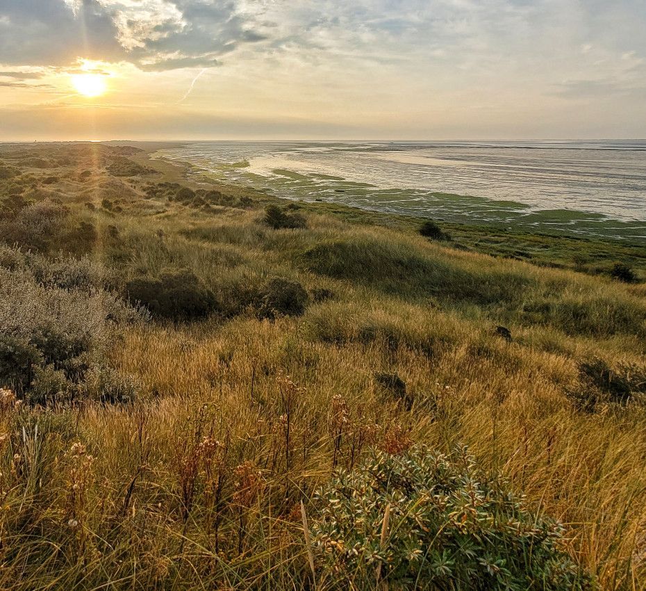 <p>Nature reserves on Wadden Island Texel, Vlieland, Terschelling, Ameland and Schiermonnikoog - Wadden.nl</p>