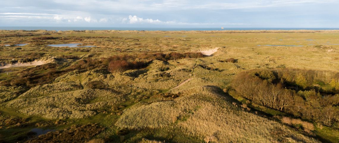 Experience autumn on the Wadden Islands of Texel, Vlieland, Terschelling, Ameland and Schiermonnikoog!