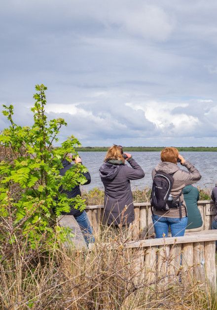 activities and excursions on Wadden island Texel