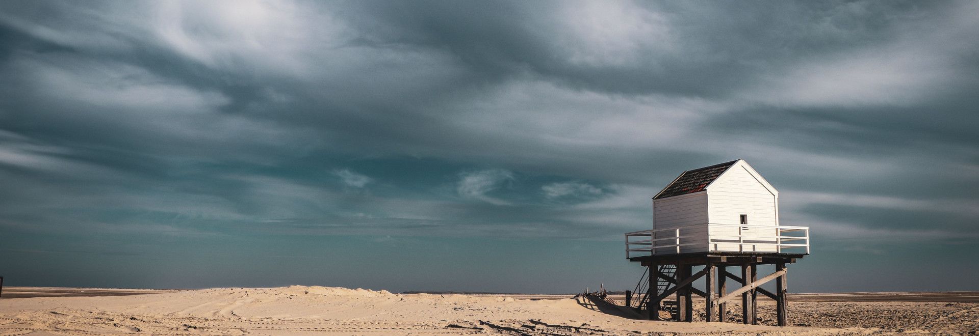 Enjoy the wadden islands!