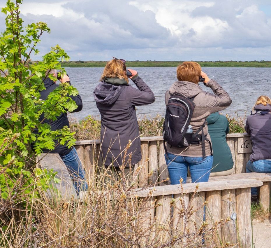 <p>Bird viewpoint near Oudeschild on Wadden Island Texel</p>