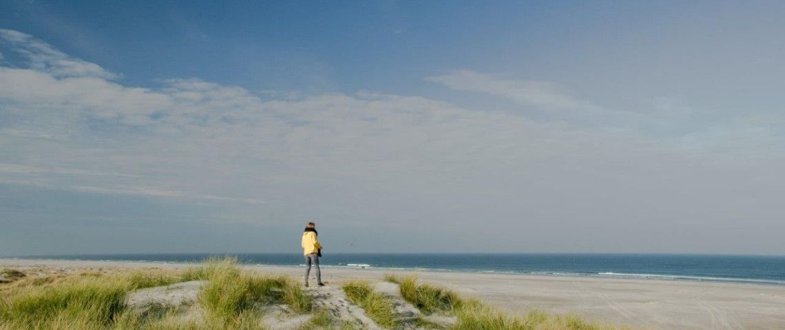 Last-minute deals on wadden island Vlieland