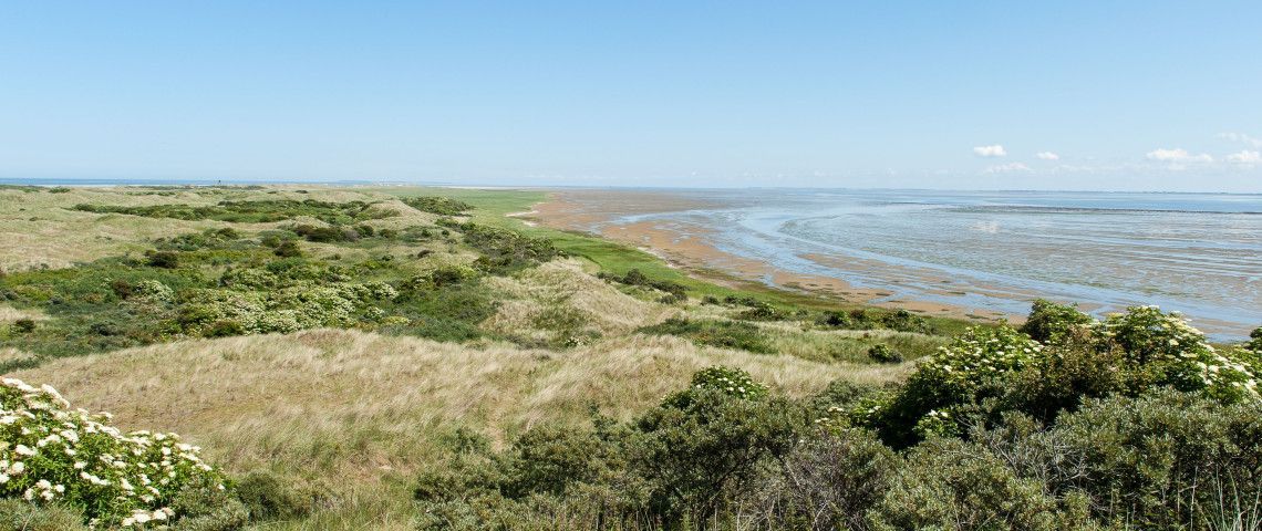 The most beautiful viewpoints on Ameland - Wadden.nl