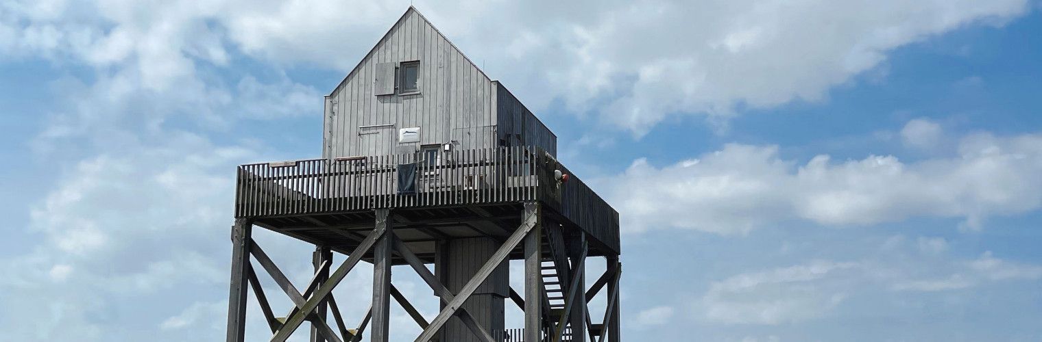 In the middle of the Wadden Sea, between the Wadden Islands of Ameland and Schiermonnikoog, lies Engelsmanplaat. - Wadden.nl