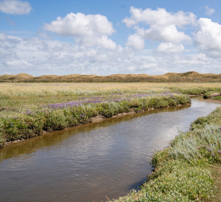 <p>Nature Excursions on wadden island Texel</p>