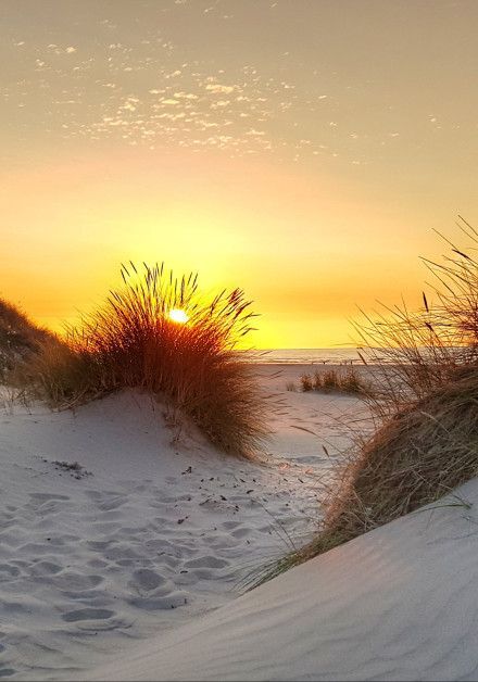 Visit Terschelling's beach - Wadden.nl