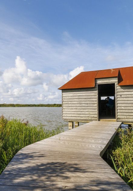 Visit the bird hide on the Wadden Island of waddeneiland Ameland