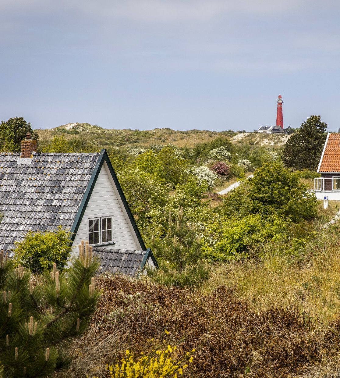 Staying overnight on Schiermonnikoog - VVV Schiermonnikoog - Wadden.nl