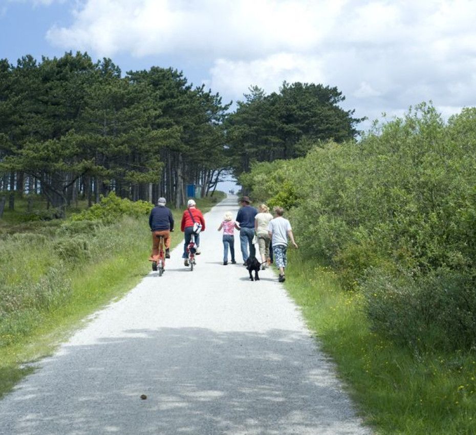 <p>Cycling, bike rental and cycling routes on Wadden Island Vlieland - Wadden.nl</p>