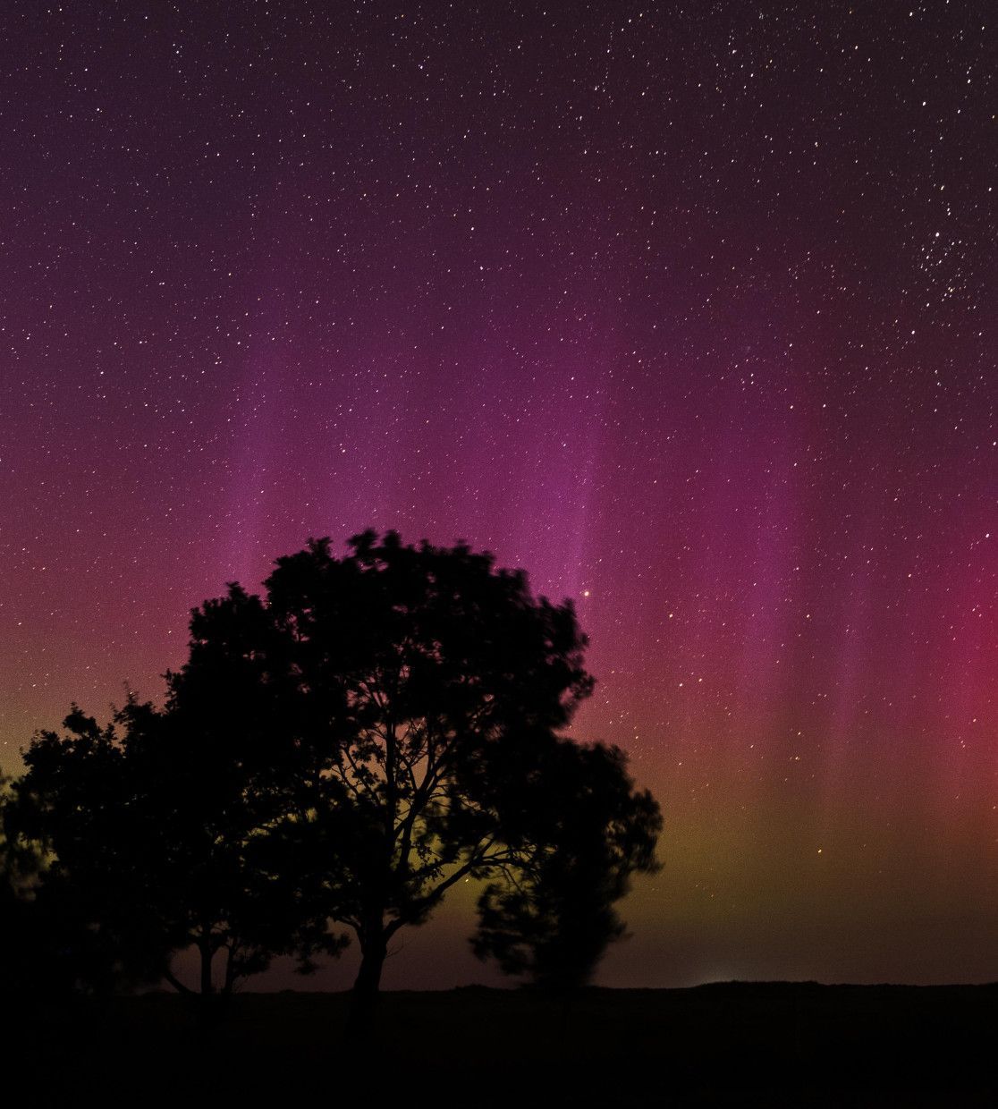 Experience nature in real darkness on the Wadden islands!