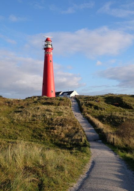 Explore the mudflats on wadden island Schiermonnikoog