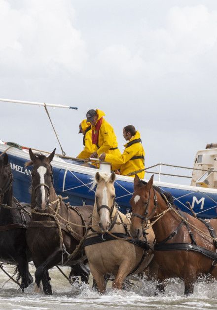 View all autumn activities on the Wadden island Ameland