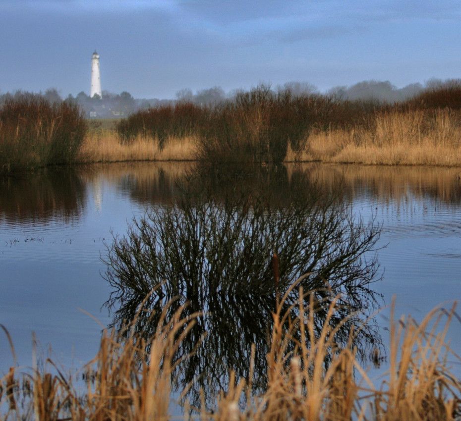 <p>Beleef De Westerplas op Experience De Westerplas on Wadden Island Schiermonnikoog - Wadden.nlSchiermonnikoog - Wadden.nl</p>