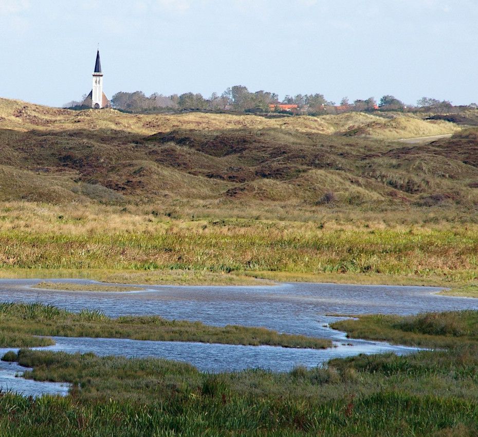 <p>Nature reserves on Wadden Island Texel, Vlieland, Terschelling, Ameland and Schiermonnikoog - Wadden.nl</p>