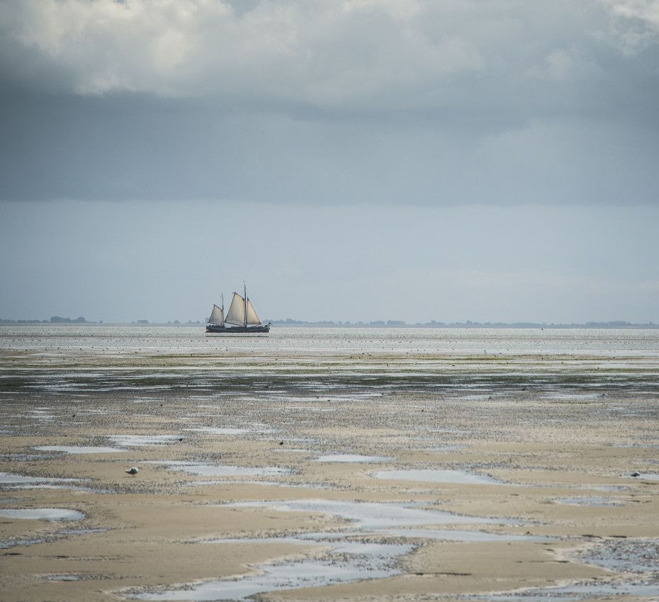 <p>The Wadden Sea is unique, discover it for yourself! - Wadden.nl</p>