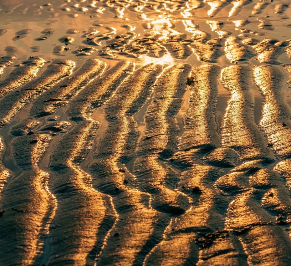 <p>Discover hidden islands in the Wadden Sea, such as island Noorderhaaks - Wadden.nl</p>