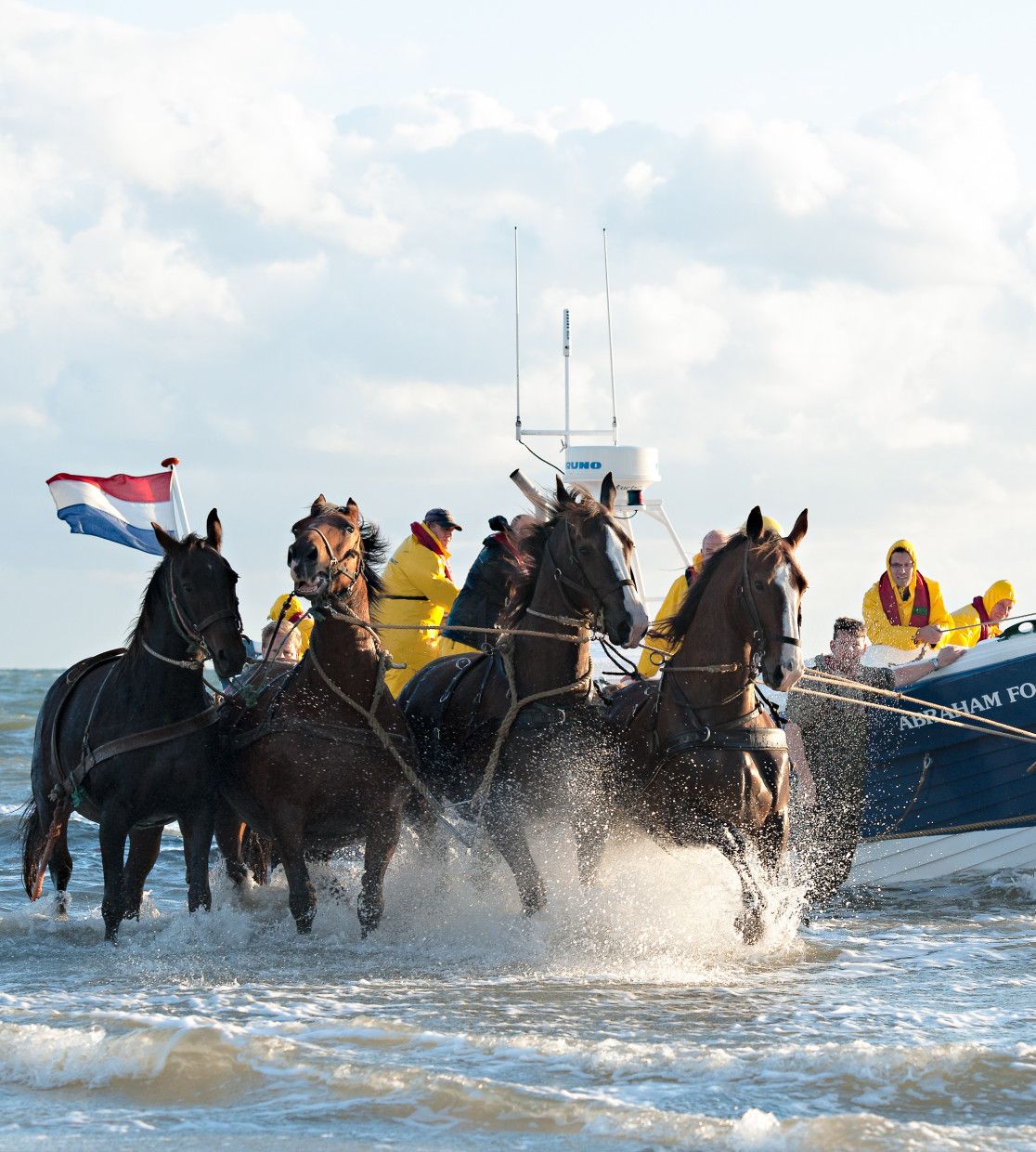 Experience these events on the Wadden islands Texel, Vlieland, Terschelling, Ameland and Schiermonnikoog!