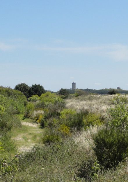 activities and excursions on Wadden island Terschelling