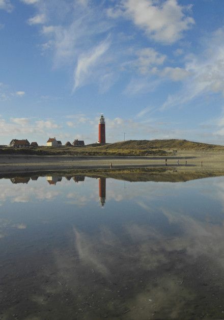 Explore the mudflats on wadden island Texel