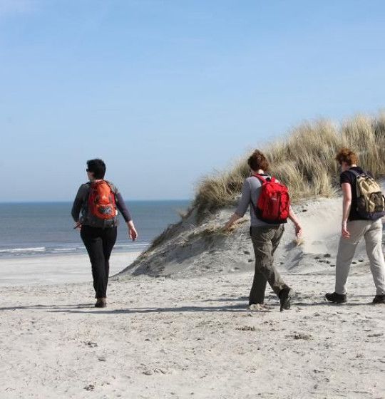 Walking event 'Between mud and Sand' on Wadden island Ameland