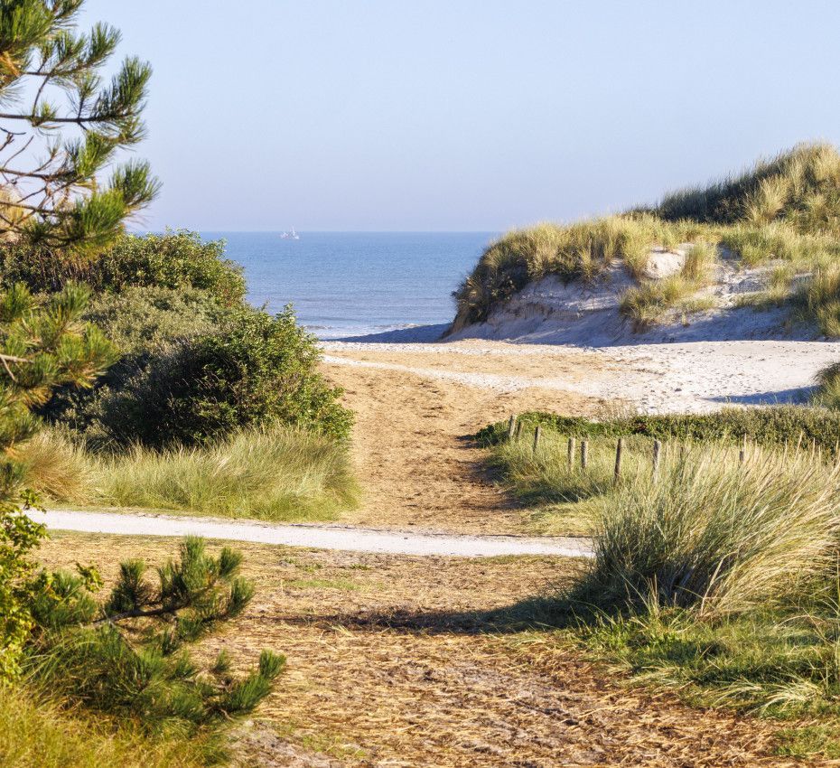 <p>View the hiking package of the Wadden Island Ameland</p>