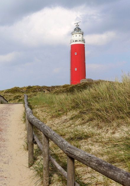 Visit the bird hide on the Wadden Island of Texel