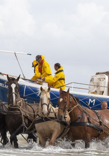 View all autumn activities on the Wadden island Ameland