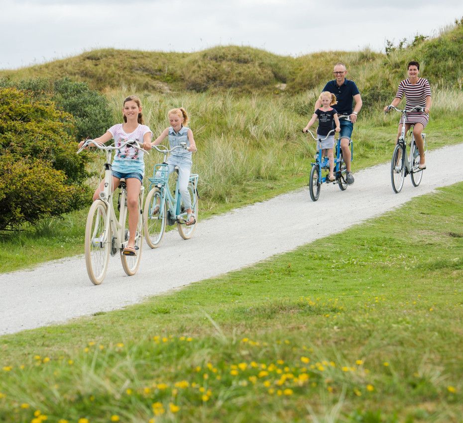 <p>Cycling packages on the Wadden Islands - Wadden.nl</p>